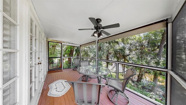 1141 Myrtle Rd, Valrico, FL 33596 - photo 84