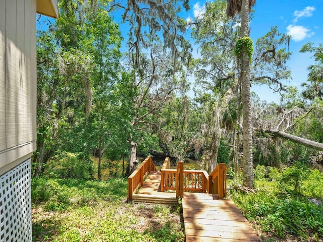 1141 Myrtle Rd, Valrico, FL 33596 - photo 87