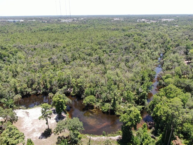 1141 Myrtle Rd, Valrico, FL 33596 - photo 89