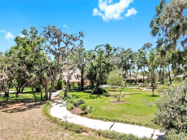 1141 Myrtle Rd, Valrico, FL 33596 - photo 94