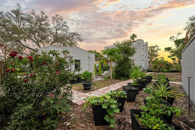 6251 4th Ave S, Saint Petersburg, FL 33707 - yard at dusk featuring a vegetable garden