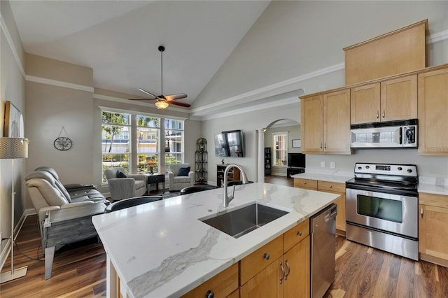 110 Aberdeen Pond Dr, Apollo Beach, FL 33572 - kitchen with appliances with stainless steel finishes, a sink, open floor plan, a ceiling fan, and light wood-type flooring