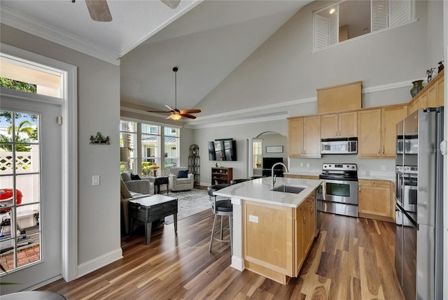 110 Aberdeen Pond Dr, Apollo Beach, FL 33572 - kitchen featuring a ceiling fan, stainless steel appliances, a sink, light brown cabinetry, and arched walkways
