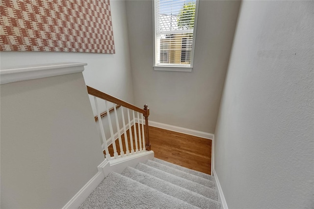 110 Aberdeen Pond Dr, Apollo Beach, FL 33572 - stairs featuring baseboards and wood finished floors