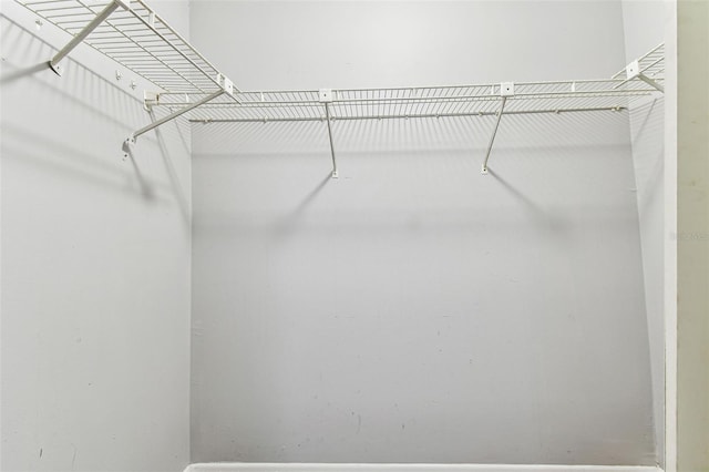 39650 US Highway 19 N Unit 143, Tarpon Springs, FL 34689 - view of walk in closet