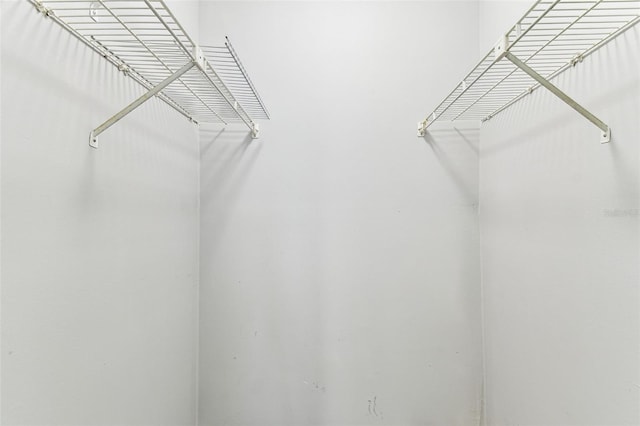 39650 US Highway 19 N Unit 143, Tarpon Springs, FL 34689 - view of walk in closet