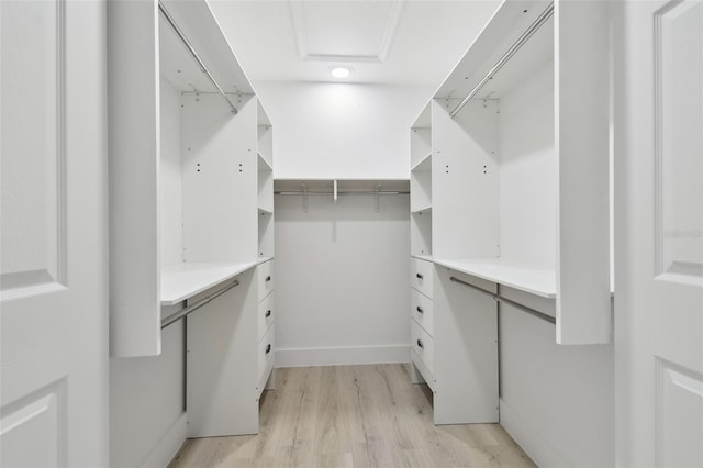 14170 Fennsbury Dr, Tampa, FL 33624 - walk in closet with light wood-type flooring