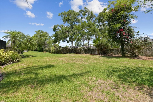14170 Fennsbury Dr, Tampa, FL 33624 - view of green lawn