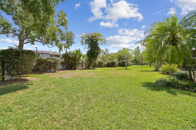 14170 Fennsbury Dr, Tampa, FL 33624 - view of green lawn
