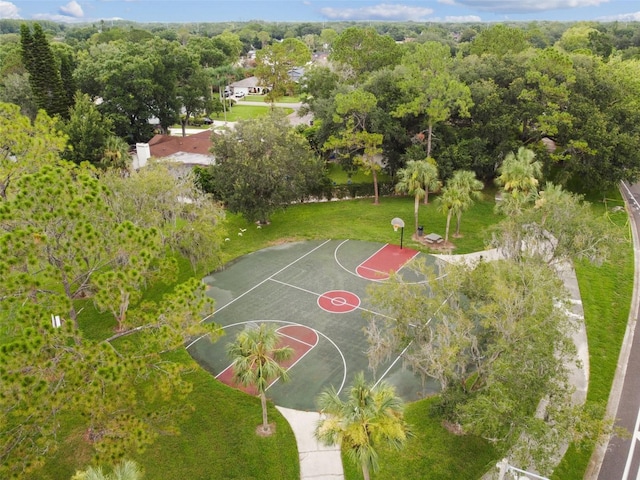 14170 Fennsbury Dr, Tampa, FL 33624 - view of sport court with community basketball court and a lawn