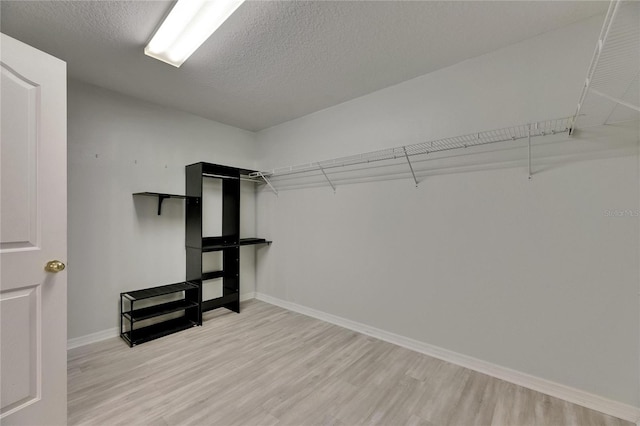 spacious closet featuring light wood-type flooring