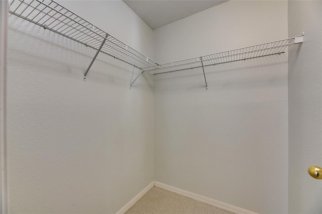 walk in closet featuring light carpet