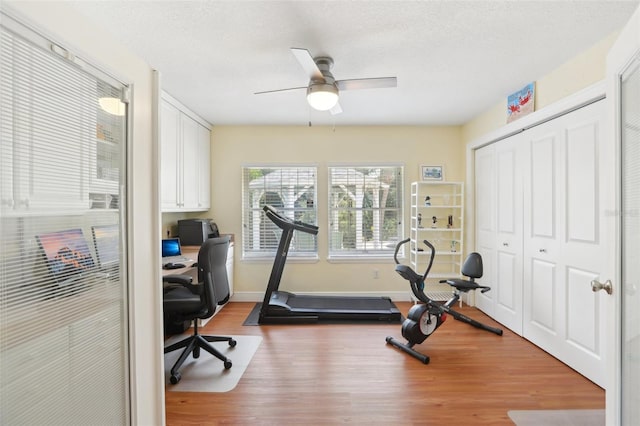 71 Flamingo Cir, Safety Harbor, FL 34695 - workout room featuring wood finished floors, ceiling fan, and baseboards