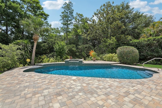 71 Flamingo Cir, Safety Harbor, FL 34695 - outdoor pool with a patio area and a jacuzzi