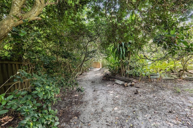 71 Flamingo Cir, Safety Harbor, FL 34695 - view of yard