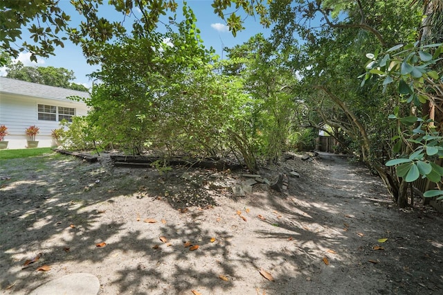 71 Flamingo Cir, Safety Harbor, FL 34695 - view of yard