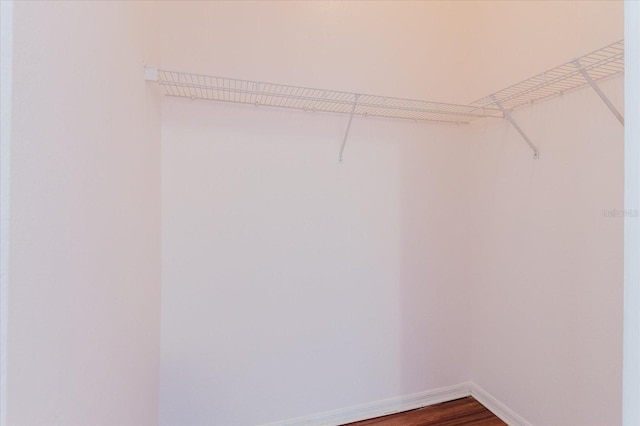 18107 Peregrines Perch Pl Unit 6303, Lutz, FL 33558 - spacious closet featuring dark wood-type flooring