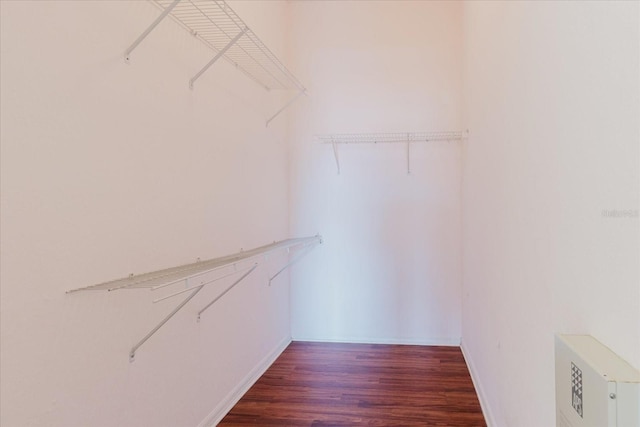 18107 Peregrines Perch Pl Unit 6303, Lutz, FL 33558 - walk in closet featuring wood finished floors