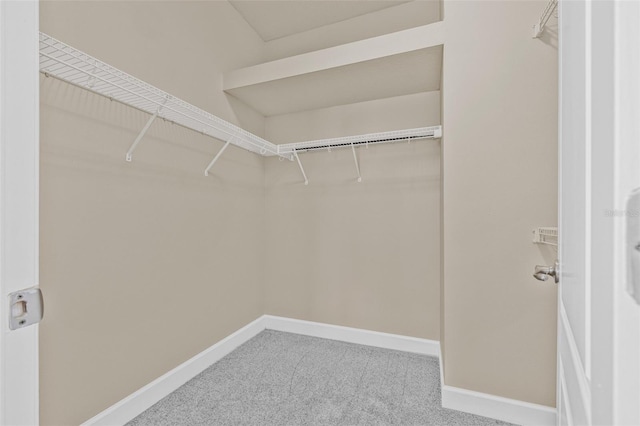 215 S Westland Ave Unit 3, Tampa, FL 33606 - spacious closet featuring carpet floors