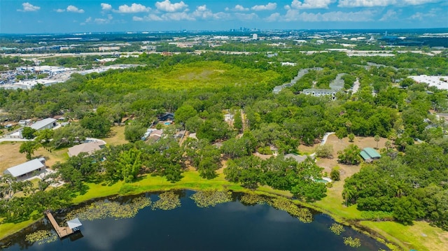 525 Gornto Lake Rd, Brandon, FL 33510 - aerial view of property and surrounding area featuring a large body of water