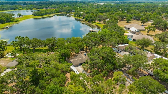 525 Gornto Lake Rd, Brandon, FL 33510 - aerial view of a large body of water and a heavily wooded area