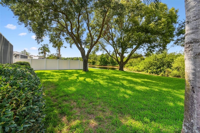 13028 Prestwick Dr, Riverview, FL 33579 - view of yard