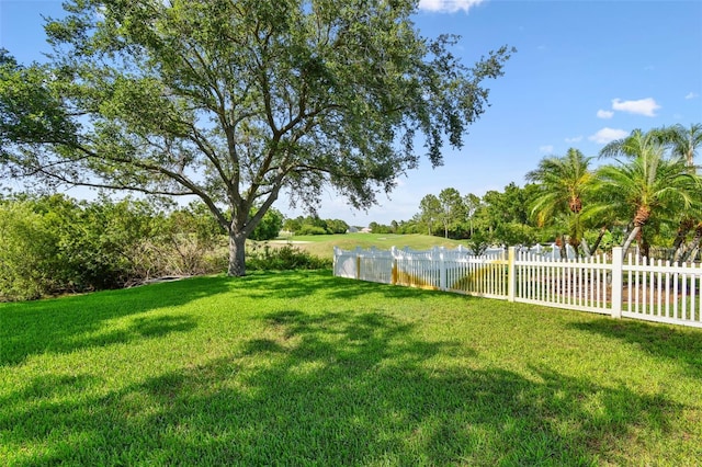 13028 Prestwick Dr, Riverview, FL 33579 - view of yard