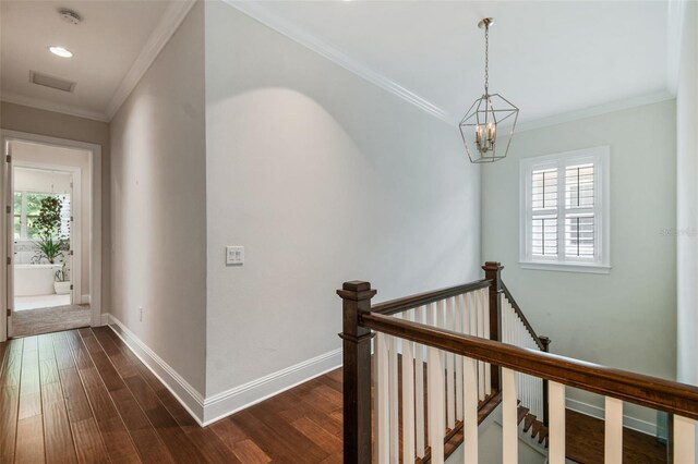 3109 W Granada St, Tampa, FL 33629 - photo 23