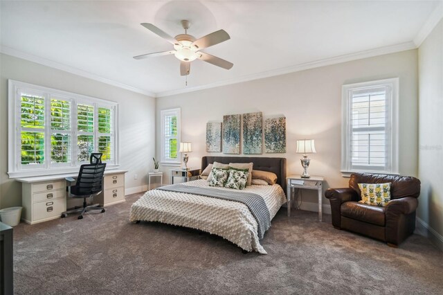 3109 W Granada St, Tampa, FL 33629 - photo 24
