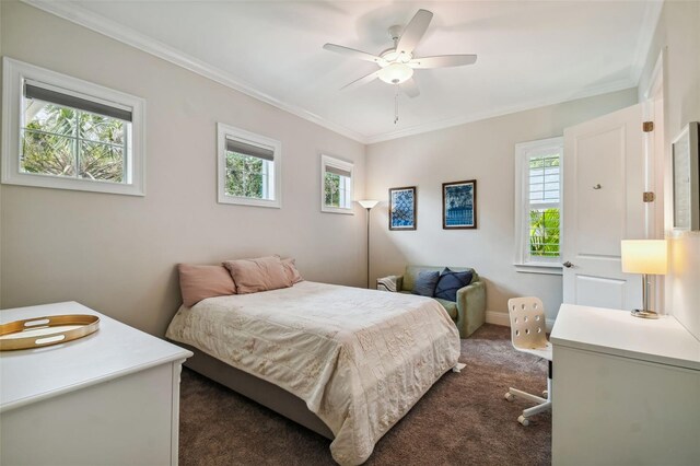 3109 W Granada St, Tampa, FL 33629 - photo 31