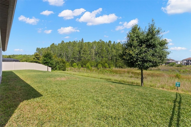 6154 Marsh Trail Dr, Odessa, FL 33556 - view of yard