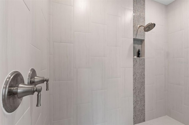 6154 Marsh Trail Dr, Odessa, FL 33556 - detailed view of a tile shower