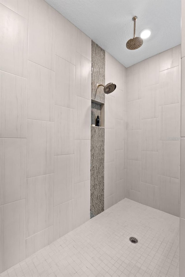 6154 Marsh Trail Dr, Odessa, FL 33556 - bathroom with tiled shower and a textured ceiling