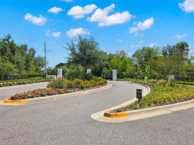 6154 Marsh Trail Dr, Odessa, FL 33556 - view of asphalt road with curbs, street lights, and a gated entry