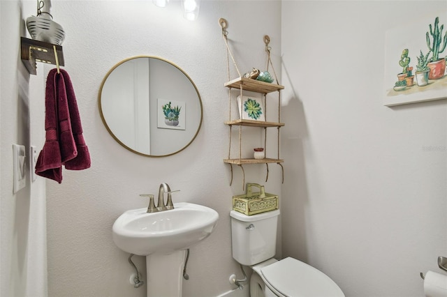 8192 Ivy Stark Blvd, Wesley Chapel, FL 33545 - half bathroom with toilet