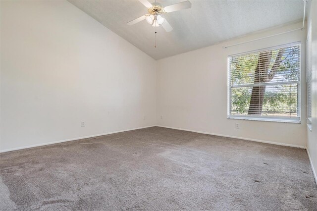 2355 Bentley Dr, Palm Harbor, FL 34684 - carpeted empty room with lofted ceiling, ceiling fan, and baseboards
