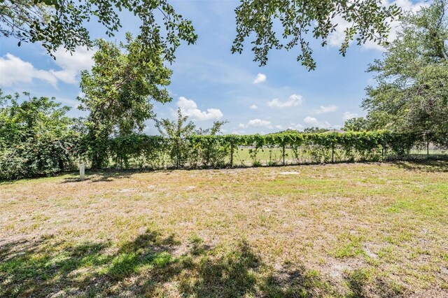 2355 Bentley Dr, Palm Harbor, FL 34684 - view of yard