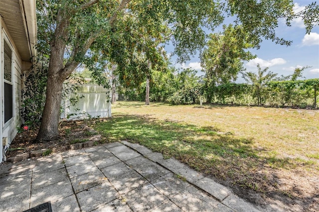 2355 Bentley Dr, Palm Harbor, FL 34684 - view of yard with a patio area