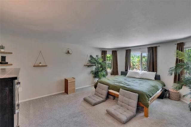 4502 19th Street Cir W, Bradenton, FL 34207 - bedroom featuring a fireplace, carpet flooring, and baseboards