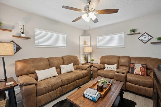 811 Patricia Pl, Lakeland, FL 33809 - living area featuring a ceiling fan and wood finished floors
