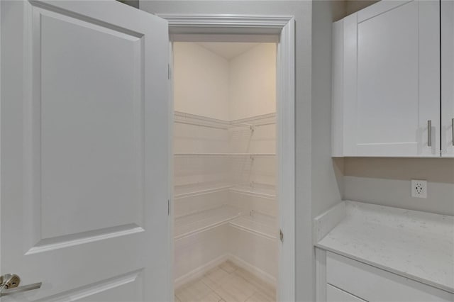 12617 Maple Bonsai Dr, Riverview, FL 33579 - view of storage area