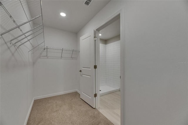 12617 Maple Bonsai Dr, Riverview, FL 33579 - walk in closet featuring light colored carpet