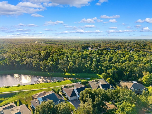 15936 Ternglade Dr, Lithia, FL 33547 - aerial perspective of suburban area with a heavily wooded area and a nearby body of water