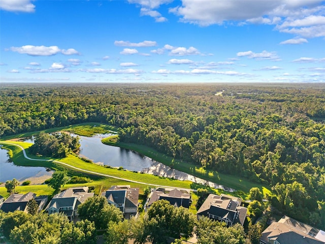 15936 Ternglade Dr, Lithia, FL 33547 - aerial view of a heavily wooded area and a nearby body of water