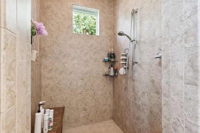 15936 Ternglade Dr, Lithia, FL 33547 - bathroom with a tile shower