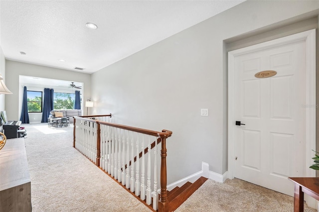 15936 Ternglade Dr, Lithia, FL 33547 - hallway featuring an upstairs landing, carpet flooring, and baseboards