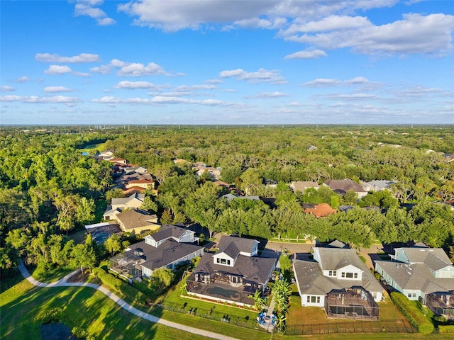 15936 Ternglade Dr, Lithia, FL 33547 - aerial view of residential area featuring a forest