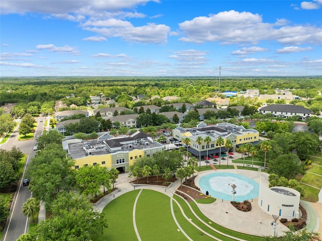 15936 Ternglade Dr, Lithia, FL 33547 - aerial view
