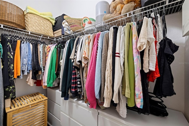 2410 W Azeele St Unit 214, Tampa, FL 33609 - view of walk in closet