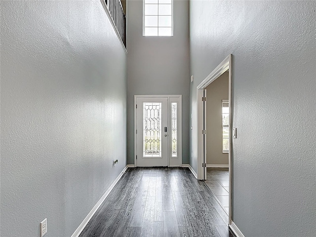 7628 Surf Reed Way, Wesley Chapel, FL 33545 - foyer featuring dark wood-style floors, a high ceiling, baseboards, and a textured wall